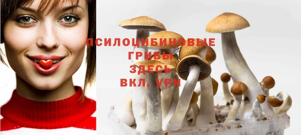 дурь Волоколамск