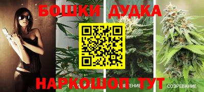 шишки Можайск