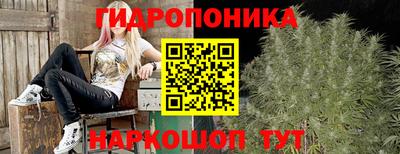 твердый Можга