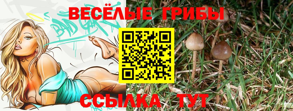 Псилоцибиновые грибы MAGIC MUSHROOMS Горячий Ключ