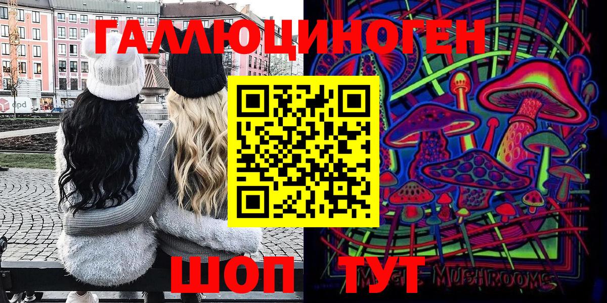 Галлюциногенные грибы мицелий  Псилоцибиновые грибы Psilocybe  закладка  Горячий Ключ 