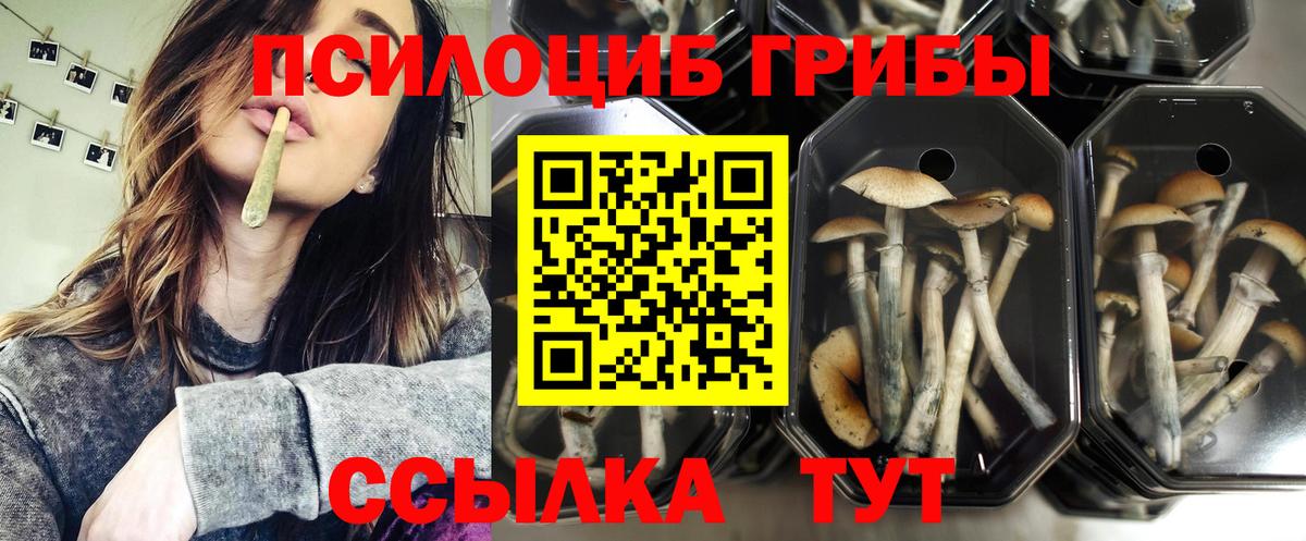 Галлюциногенные грибы MAGIC MUSHROOMS  Вход с VPN  Горячий Ключ 