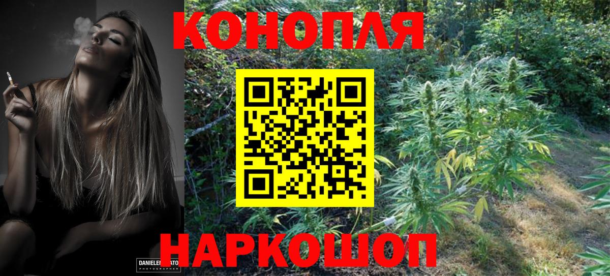 Канабис гибрид Горячий Ключ